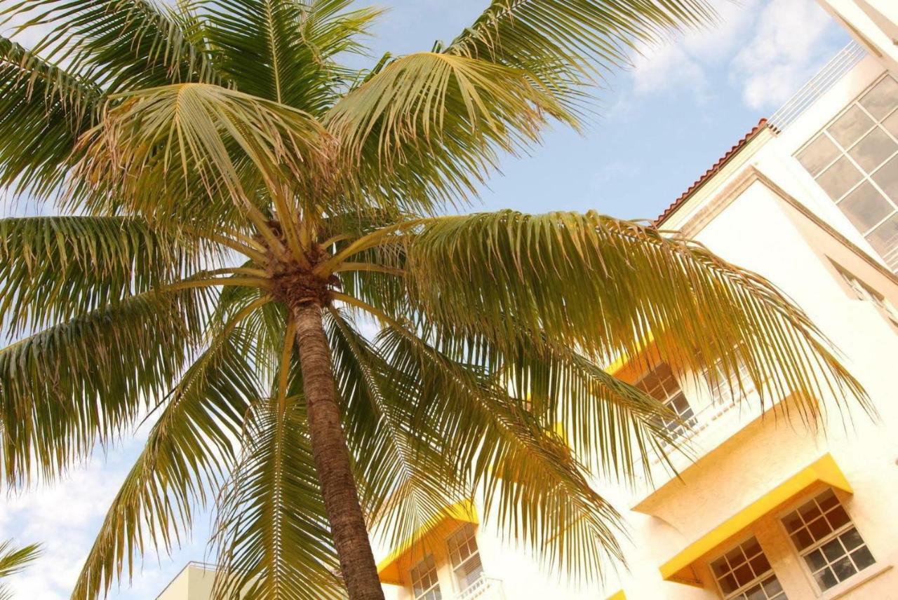 2 Bedroom Ocean Drive Newly Renovated Miami Beach Zewnętrze zdjęcie